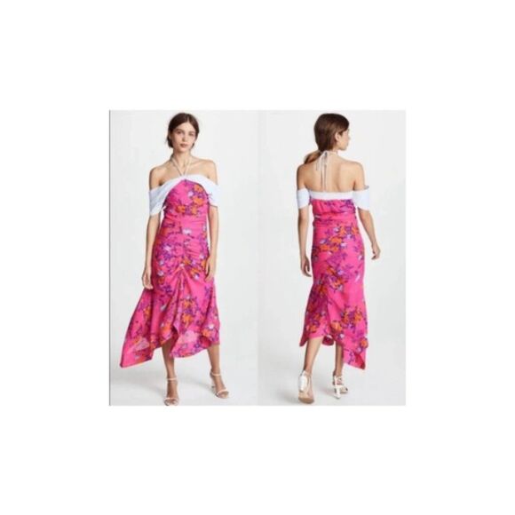 Tanya Taylor Falling Floral Virginia Dress Size 0 NWT - Picture 1 of 8